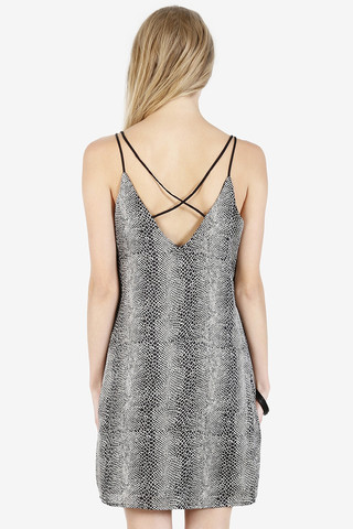Izzy Venom Shift Dress
